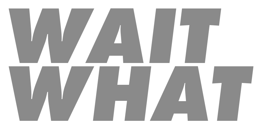 WaitWhatWeb